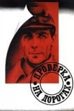 Проверка на дорогах