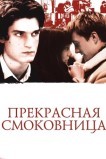 Прекрасная смоковница